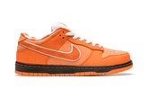 Nike SB Dunk Concepts Orange Lobster