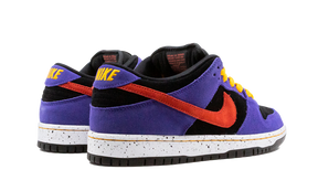 Nike SB Dunk Low ACG Terra