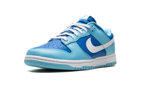 Nike Dunk Low Retro Argon