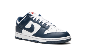 Nike Dunk Low Valerian Blue