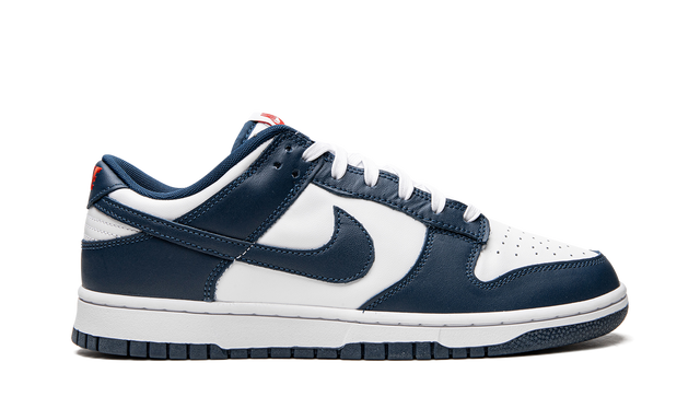 Nike Dunk Low Valerian Blue