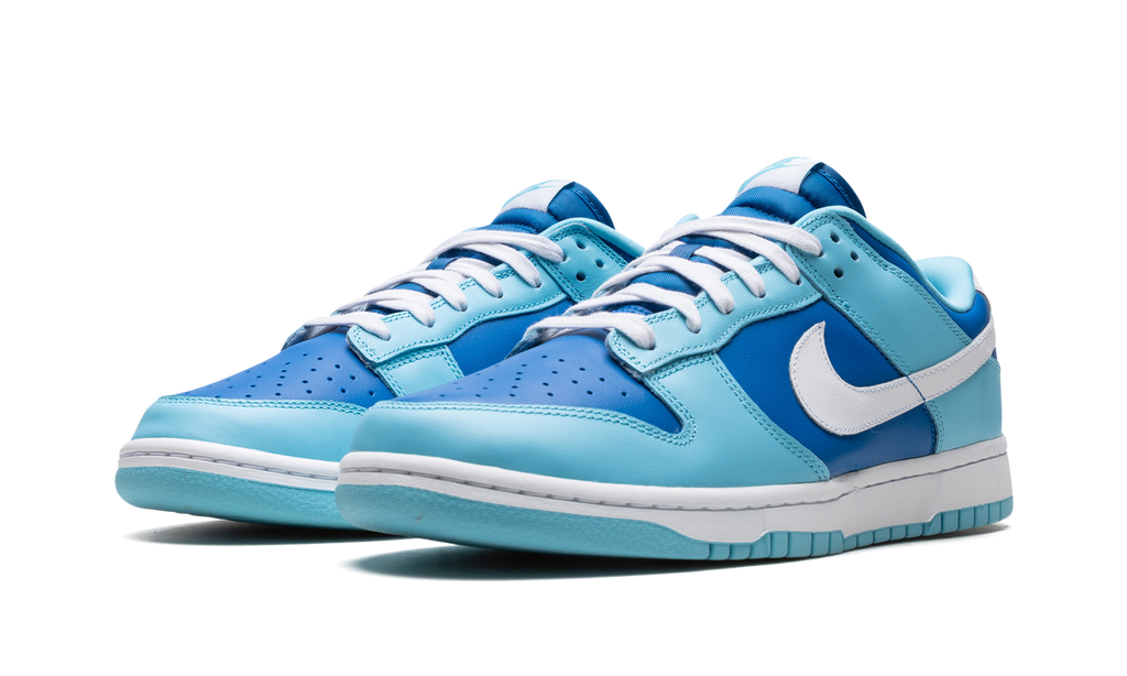 Nike Dunk Low Retro Argon